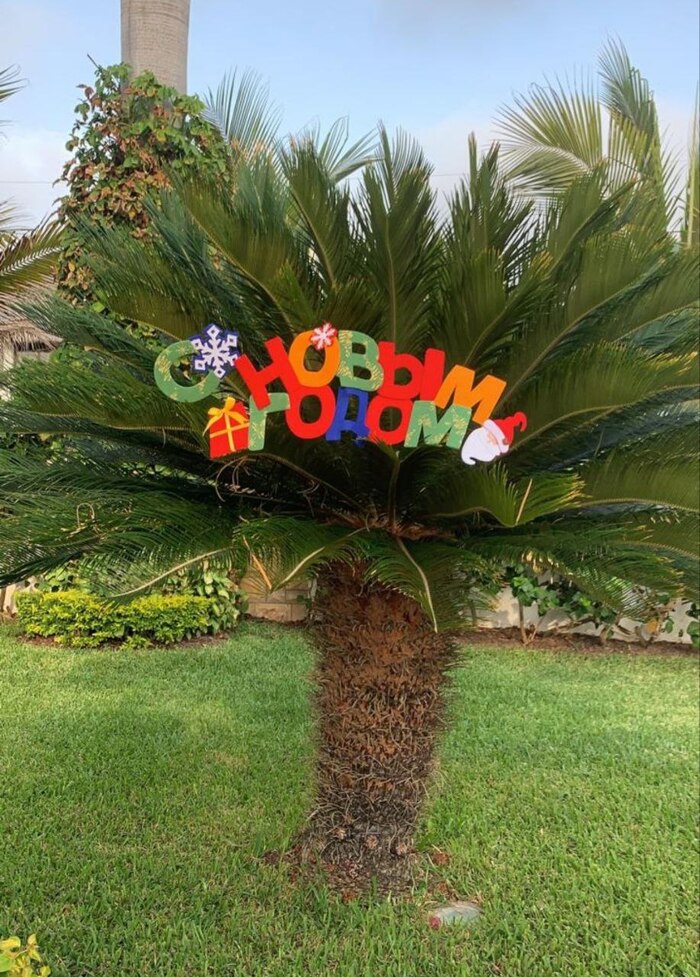 ������ ����