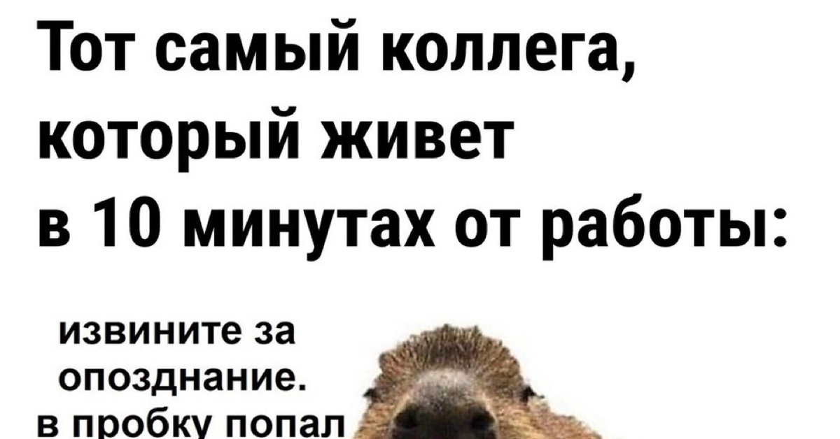 Твой коллега | Пикабу