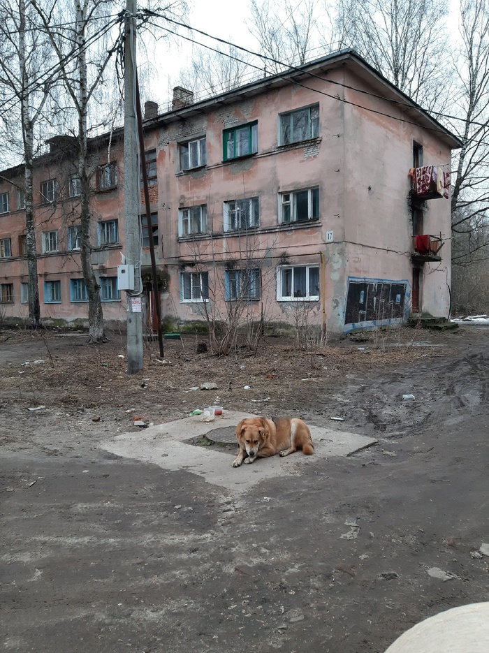 Безысходность