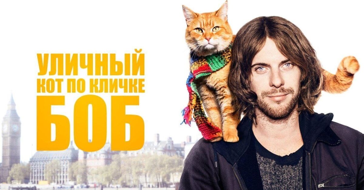 Дж. Боуэн уличный кот по имени боб. Пес по имени боб книга. Кличка боба. Кличка боба.