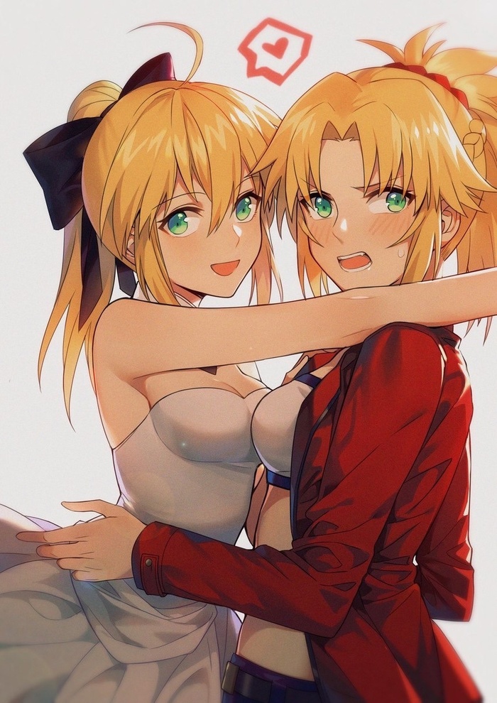 Lily und Mordred , Anime Art, Fate Apocrypha, Fate Unlimited Codes, Saber Lily, Mordred