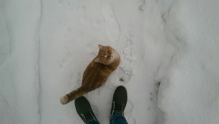 ���� ����� )