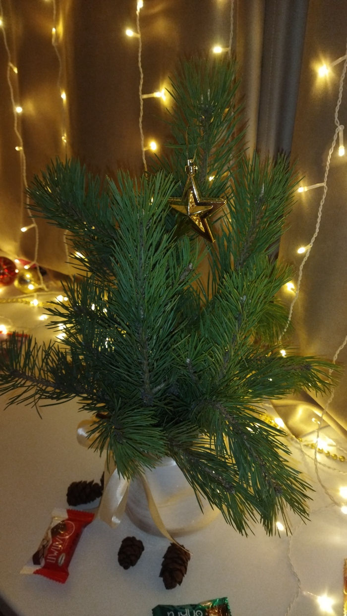 йолка настоящая, из местных ингредиентов. Пришлось по пояс в снег лезть в -45. Оно того стоит