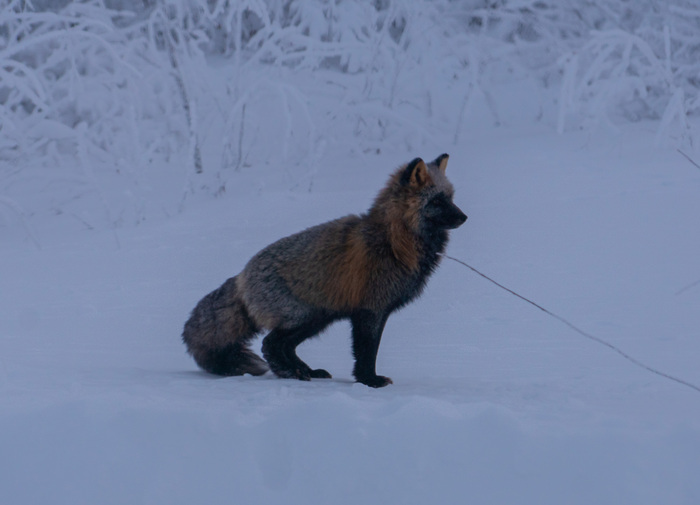 -45 и ветерок на перевале Рио-Рита