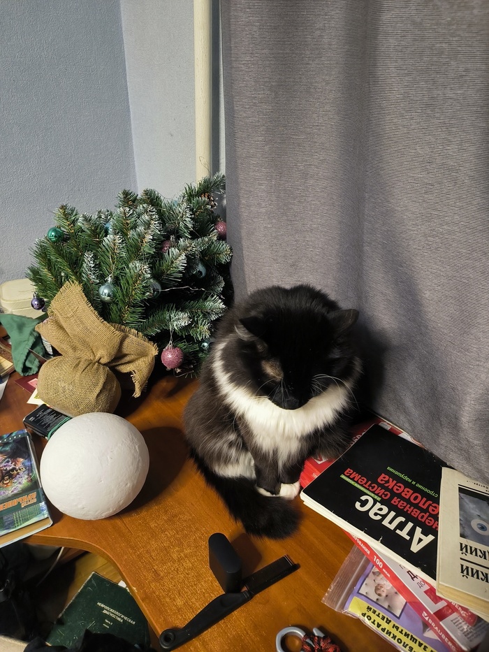 Прям верю, что ему стыдно)