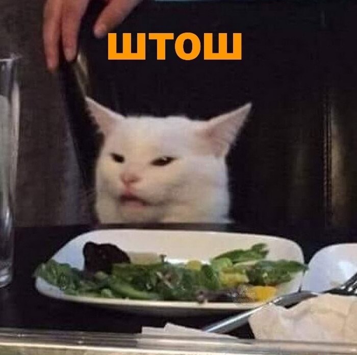 Приступим | Пикабу