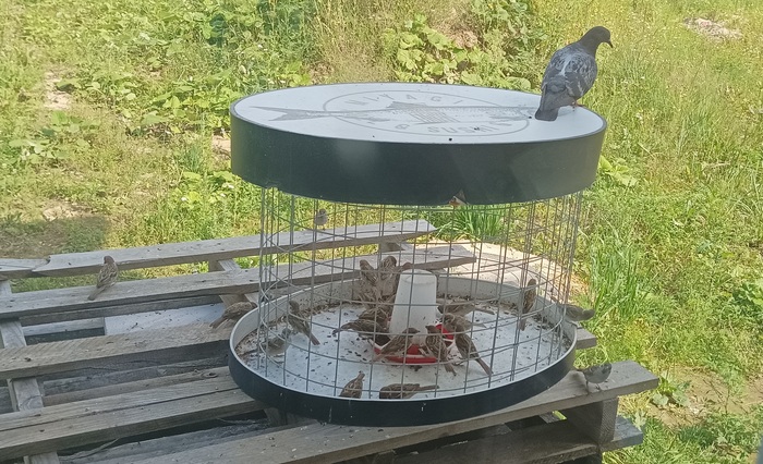 �����. ���������������� ����� �������� �������.