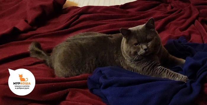 Практически освоился!