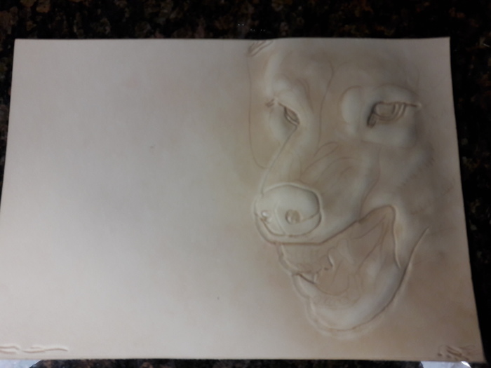 Кожа рд Турция 1.8-2.0мм. Тиснение кардина+дотц