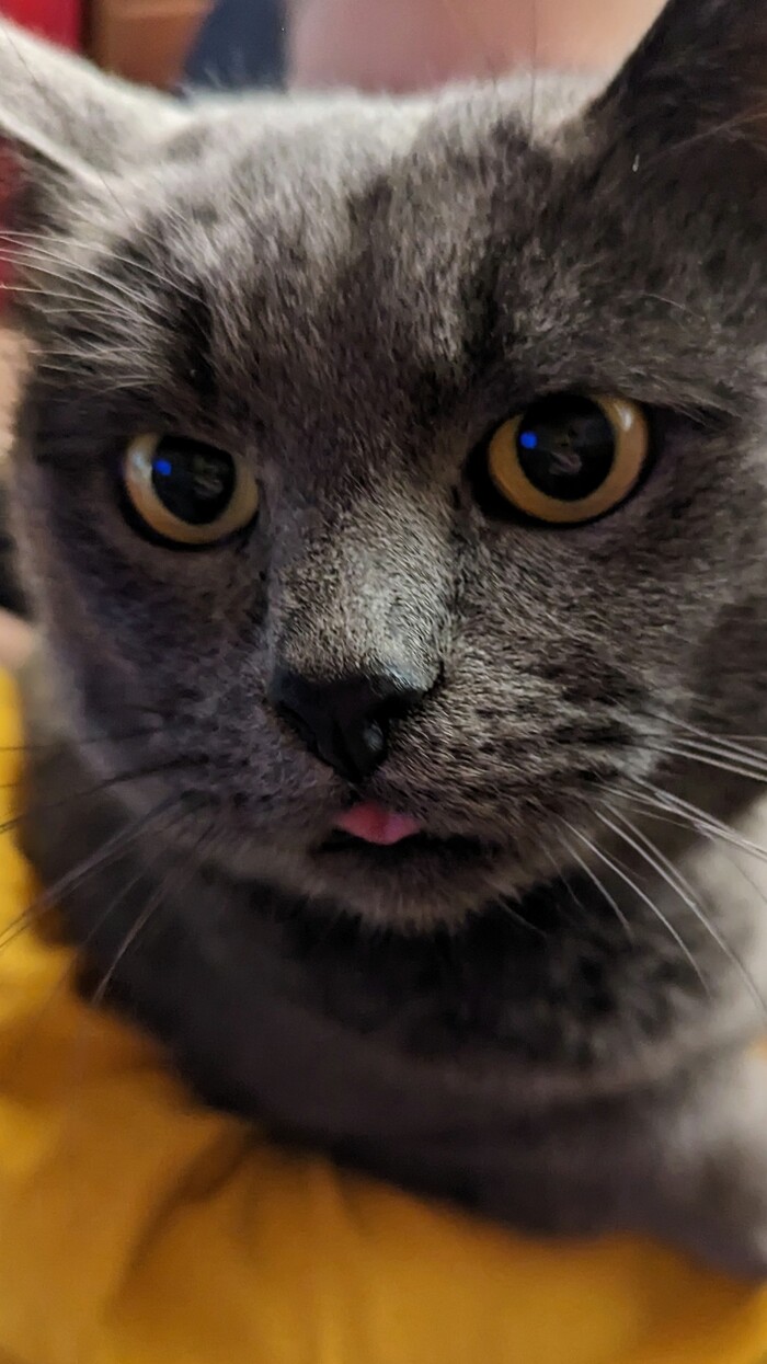 ��� � ������