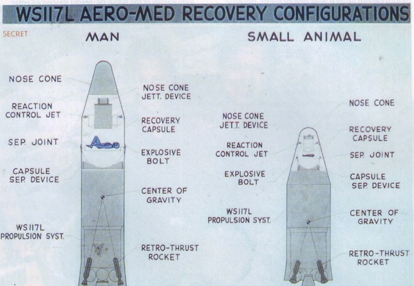   1958    ,           ,  -           .   1950--  1960-
