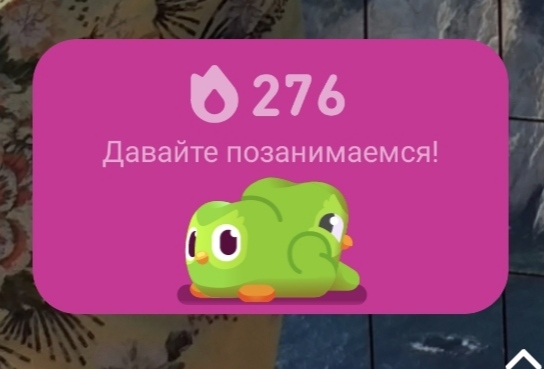  ? Duolingo, , , 