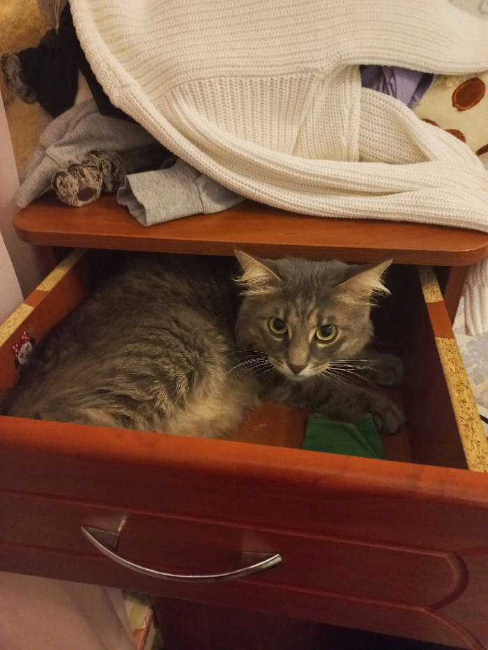 Когда нашел себе идеальное место для сна и отдыха