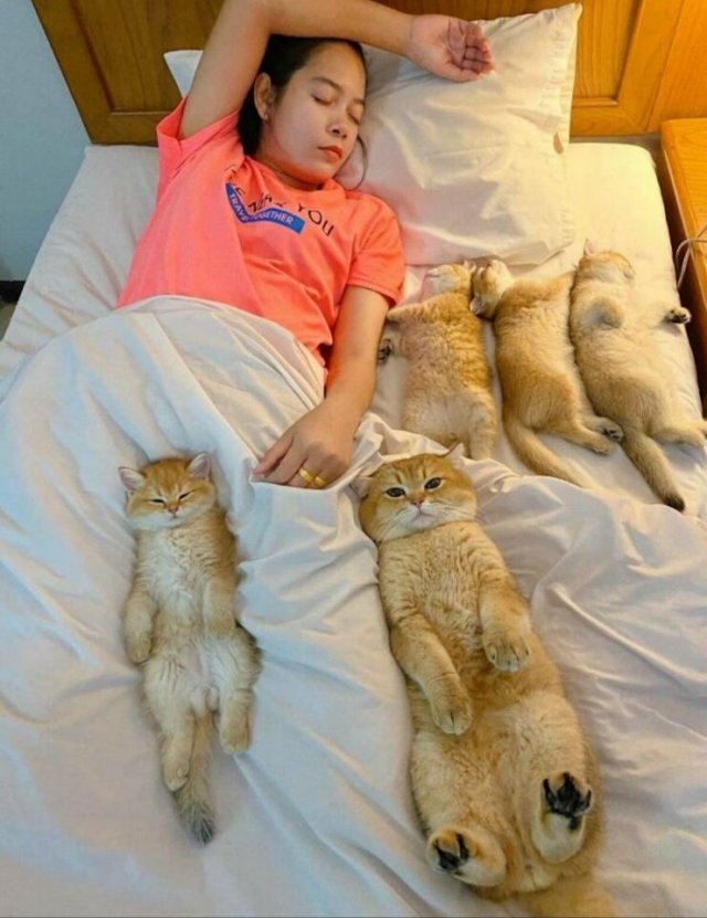 На ночь глядя