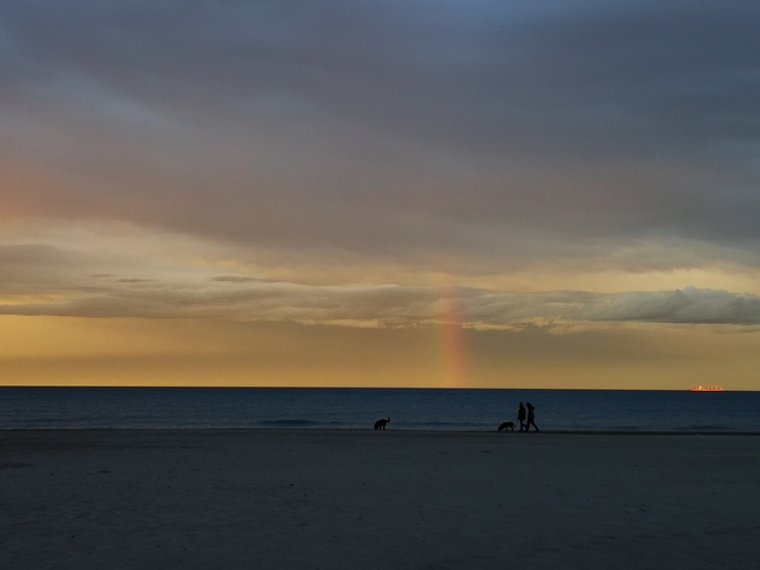    ,      .   ,     ,   .  - .       -  ).