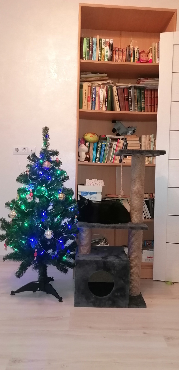 � ����� �����