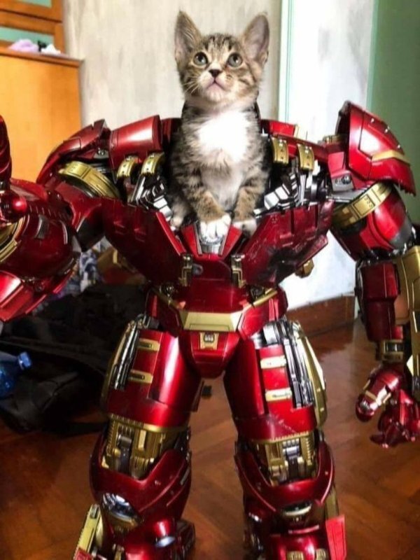  , 