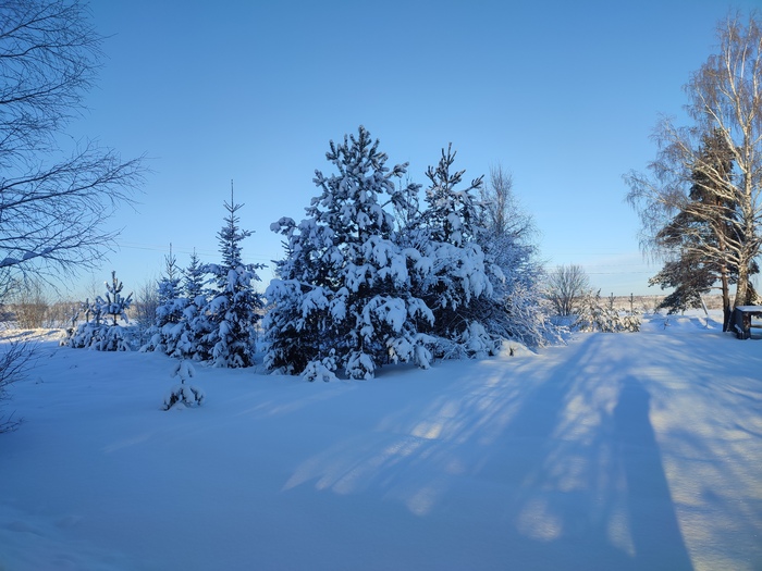 Как мне в деревне после Москвы? | Пикабу