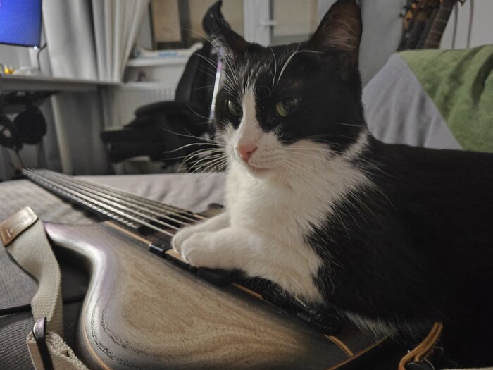 ������, ����� � ����� :)