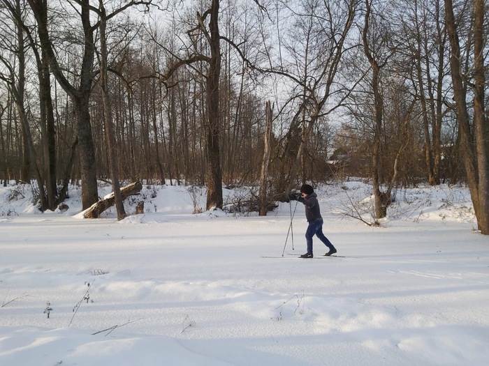 Лыжная прогулка средней активности по лесу, 1.5 часа.