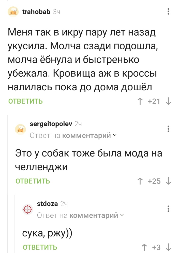 Собачий челлендж | Пикабу