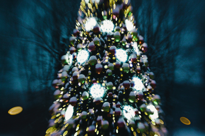 Canon 50D, Lensbaby Control Freak.