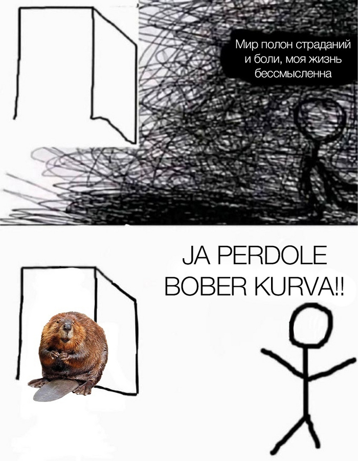 БОБЕР КУРВА!