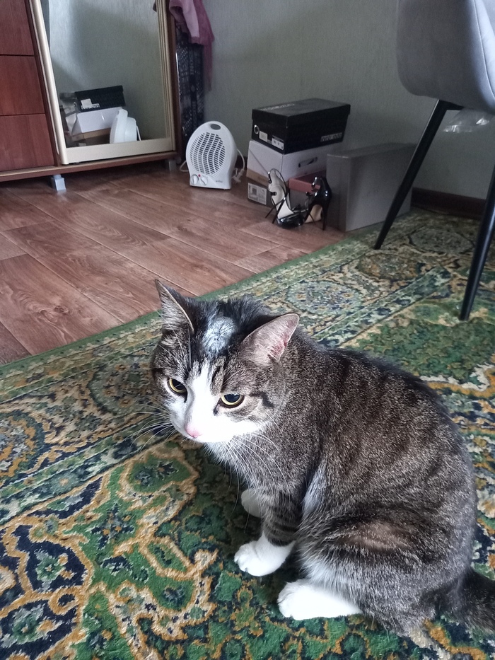 ��� �� ����� ����� ��������, ������� ������ �� �����