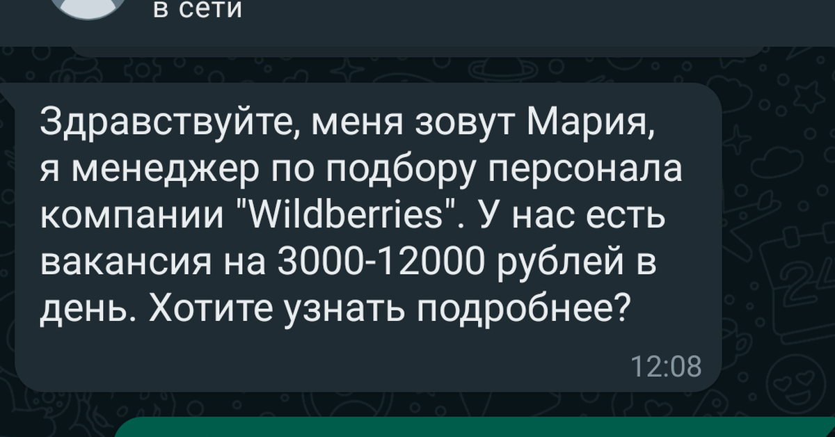 Что предлагал Wildberries? | Пикабу
