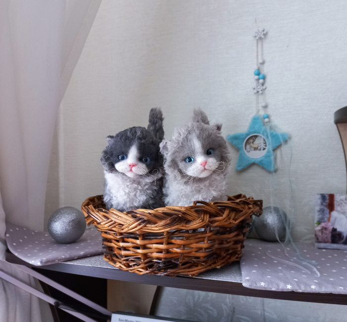 Маленькие котята Селкирк рекс.