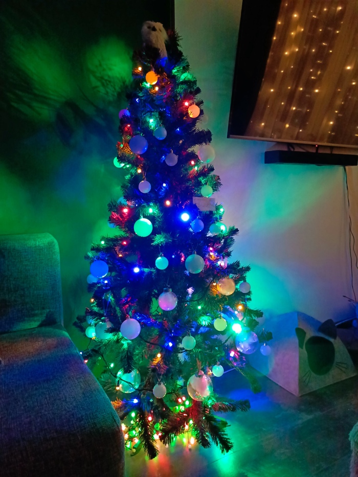 11)<a href="https://pikabu.ru/story/golosovanie_konkurs_yolok_na_adm_11000351?u=https%3A%2F%2Fpikabu.ru%2Fstory%2Fmoya_popyitka_v_novogodnee_nastroenie_10949936&t=Kolobyashka&h=b1f15a523d45b596817937631741f3f52107d4ba" title="https://pikabu.ru/story/moya_popyitka_v_novogodnee_nastroenie_10949936" target="_blank" > Kolobyashka</a>