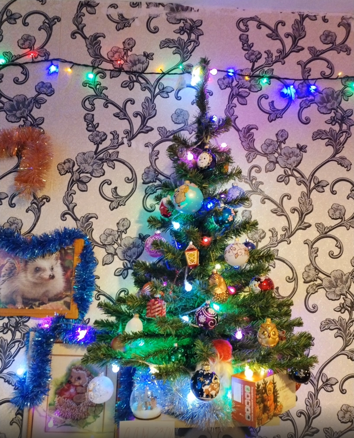 12) <a href="https://pikabu.ru/story/golosovanie_konkurs_yolok_na_adm_11000351?u=https%3A%2F%2Fpikabu.ru%2Fstory%2Fyolochka_na_konkurs_adm_10975522&t=WallisS&h=8d5726e768cc66b53bb57318b5460dcf4443b546" title="https://pikabu.ru/story/yolochka_na_konkurs_adm_10975522" target="_blank" >WallisS</a>