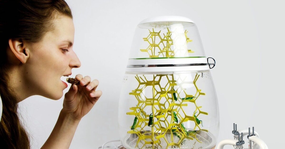 Экологическая архитектура каллебот винсент. Проект продукты будущего. Винсент каллебо зеленая архитектура. Проект продукты будущего. Продукты в будущем.