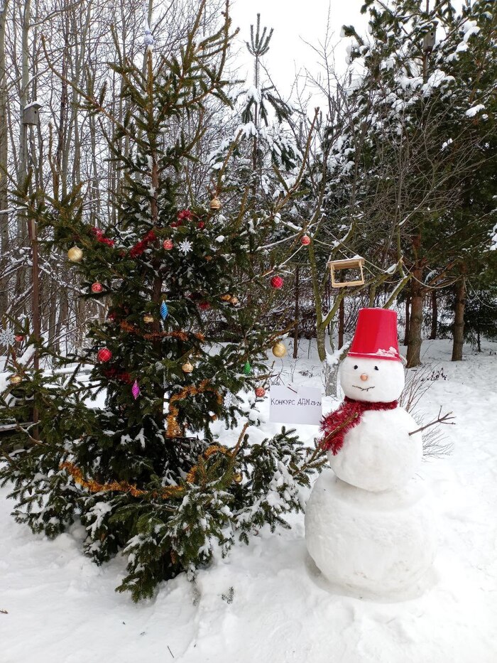 10) <a href="https://pikabu.ru/story/finalnoe_golosovanie_konkurs_yolok_na_adm_11007430?u=https%3A%2F%2Fpikabu.ru%2Fstory%2Fyolochka_10974924&t=Batterscotch&h=7d035b3d0efba9d648c989ca3e45336678f2d055" title="https://pikabu.ru/story/yolochka_10974924" target="_blank" >Batterscotch</a>