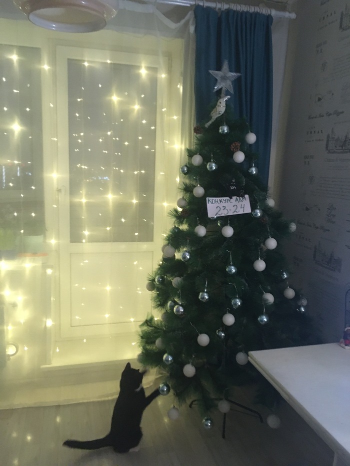 14) <a href="https://pikabu.ru/story/prodolzhenie_posta_golosovanie_konkurs_yolok_na_adm_11000367?u=https%3A%2F%2Fpikabu.ru%2Fstory%2Fkakaya_yolka_bez_kota_10966542&t=J.BernouLLi&h=bd8589c887ec27d232700e0870edbff959148793" title="https://pikabu.ru/story/kakaya_yolka_bez_kota_10966542" target="_blank" >J.BernouLLi</a>