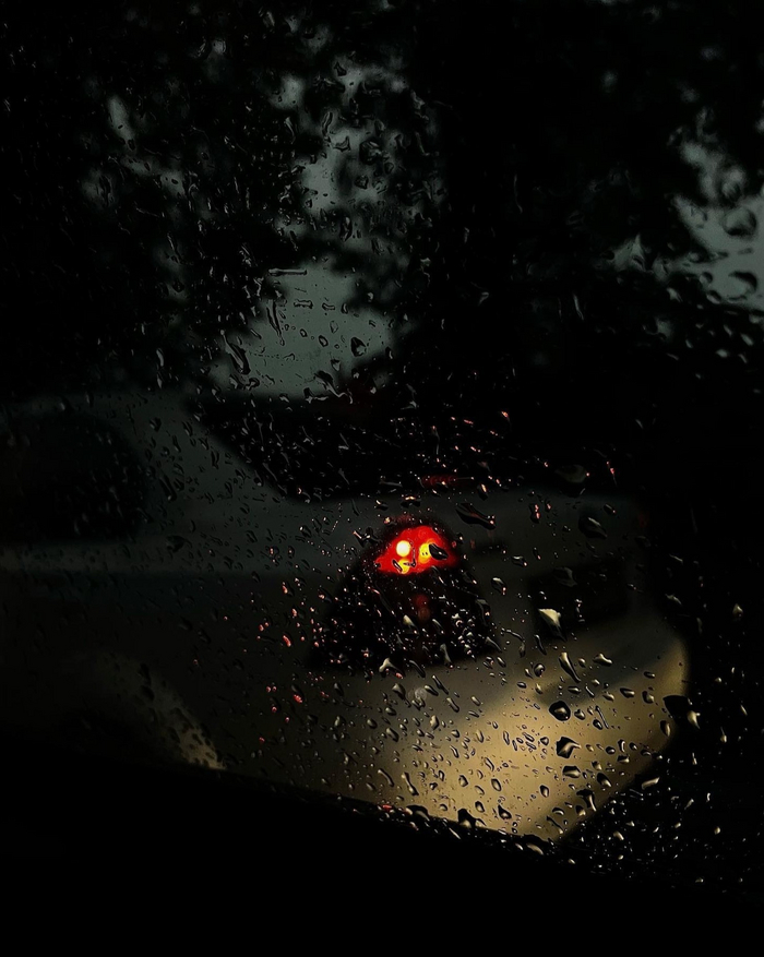 ����� ����: ������� ���������