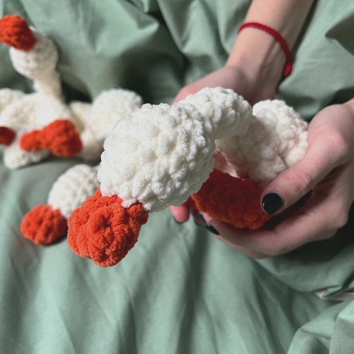 Гусь на ручках