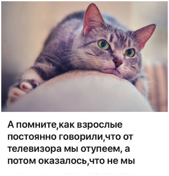 ��� ���������