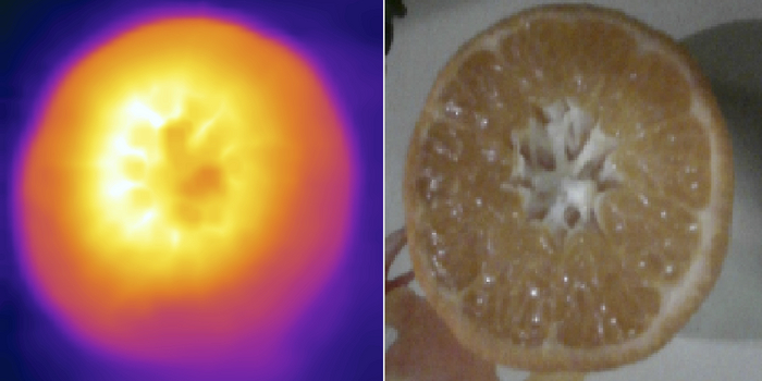 Мандарин. Разрезан после разогрева. Температура внутри от +37 до +66