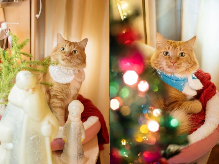 Тут все мое!