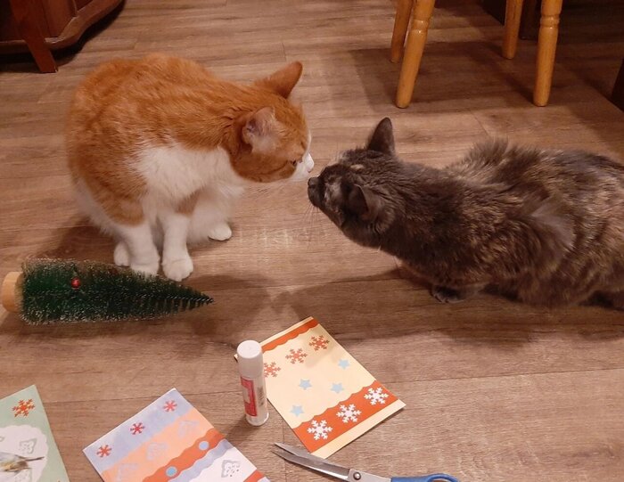 Мявчик и Муля - телохранители и уютохранители.