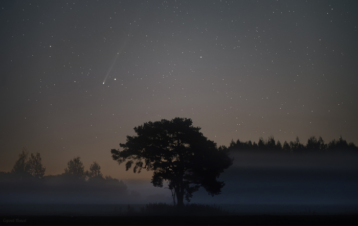  C/2023 P1 (Nishimura)     