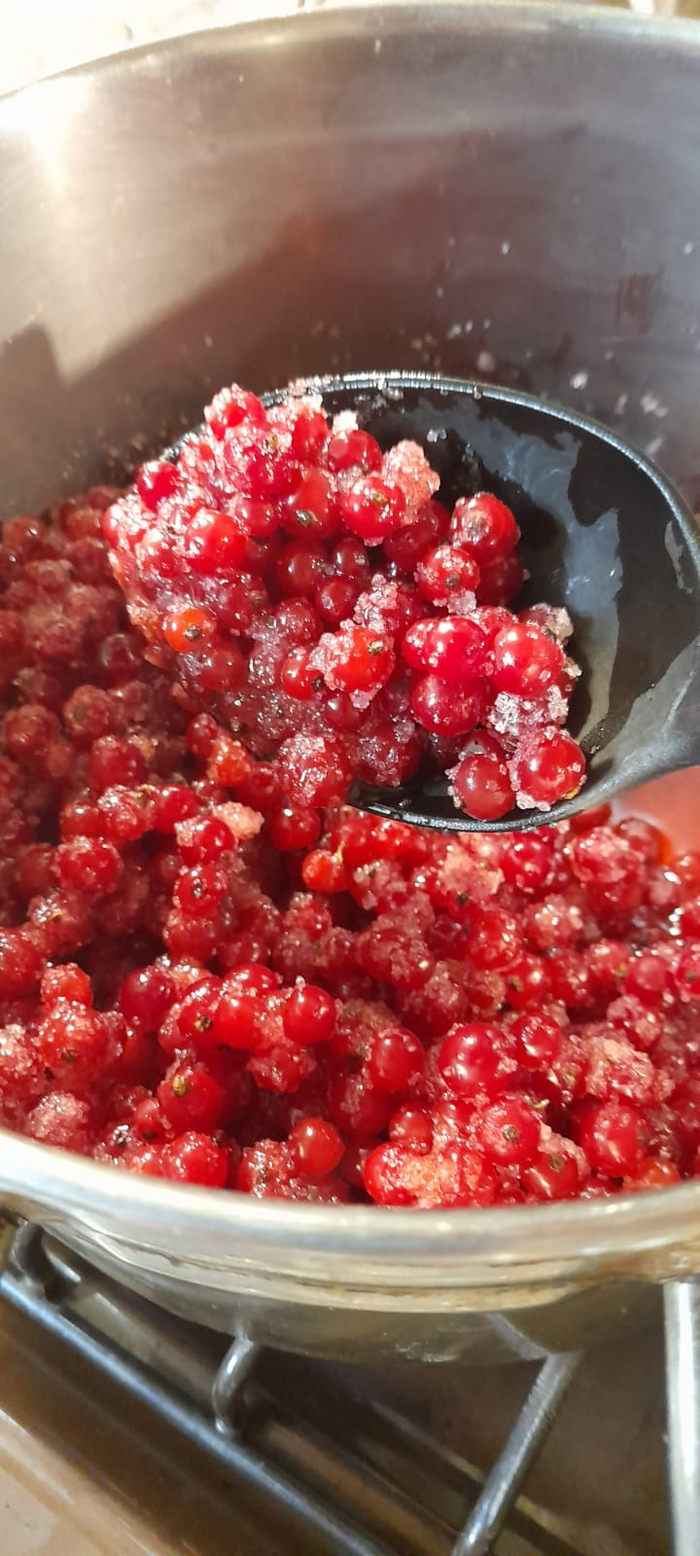 На фото красная смородина