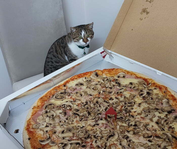   ?!
