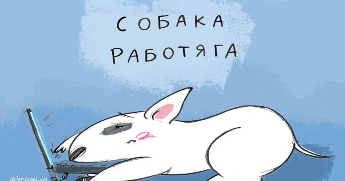 Тык-тык | Пикабу