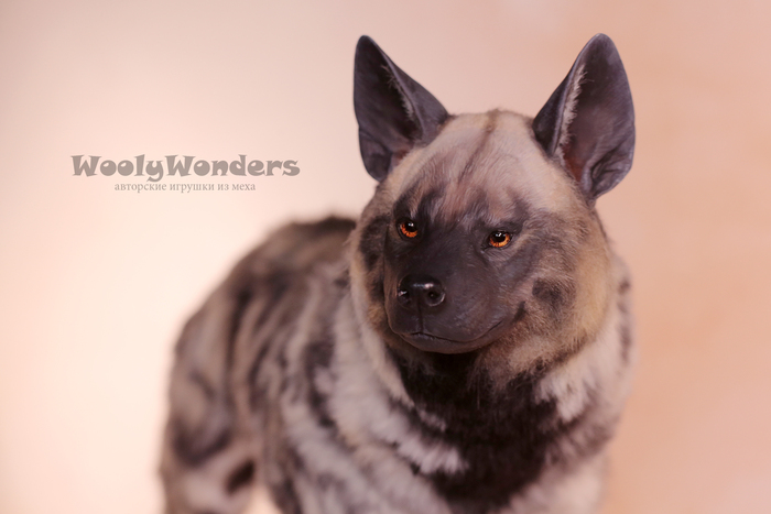 Вкусняшки есть? А если найду?