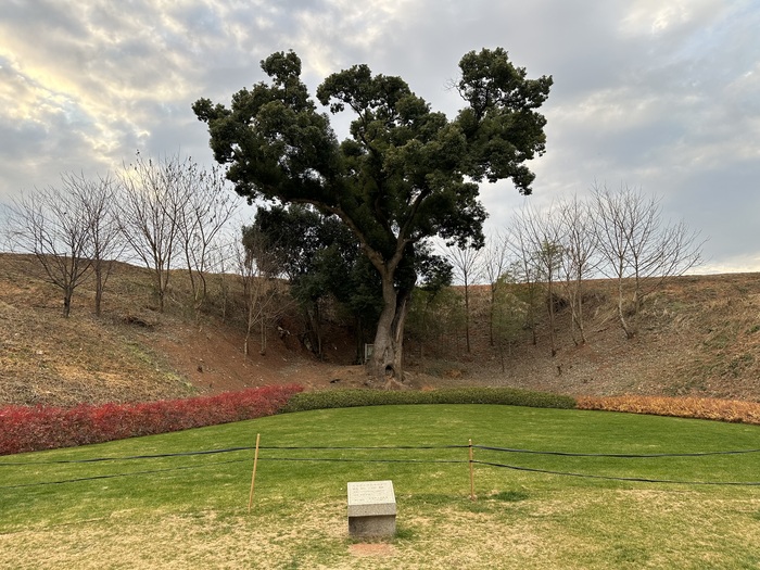 Дерево-мать Азия, Китай, Китайцы, Китай наизнанку, Дерево, Язычество, Традиции, Длиннопост