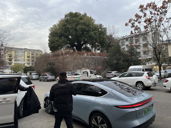 Дерево-мать Азия, Китай, Китайцы, Китай наизнанку, Дерево, Язычество, Традиции, Длиннопост