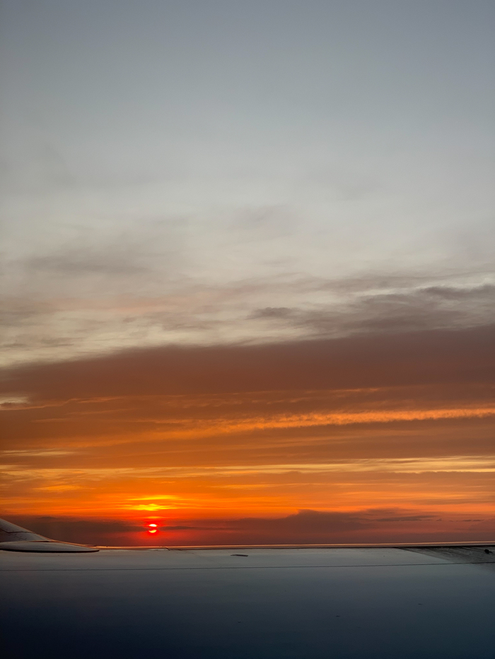 �� �������� 2020 �.