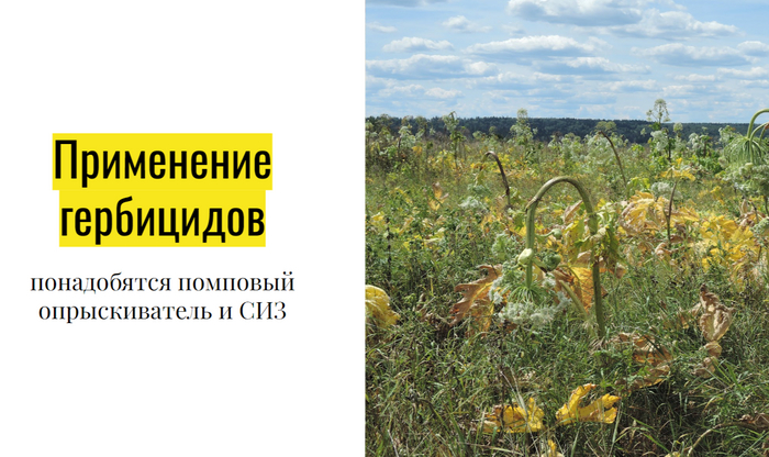  -    (   ).   ,    .  - "  " (,   ..)